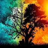 Day and Night Tree Landscape Paint By Numbers