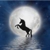 Unicorn Full Moon Animals Paint By Numbers