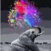 A fun Elephant Animals Paint By Numbers