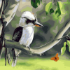 Kookaburra on Branch paint by numbers