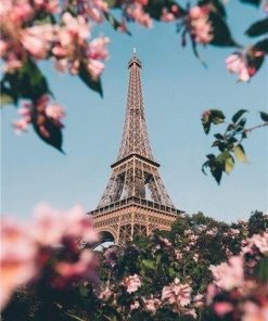 Paris Eiffel Tower In Spring paint by numbers