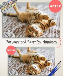 Personalized Paint By Numbers thumbnail