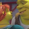 The Perfect couple Shrek and Fiona NEW Paint By Numbers