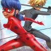 Ladybug And Cat Noir NEW Paint By Numbers