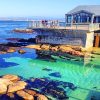 Bay Aquarium Monterey NEW Paint By Numbers