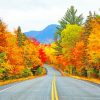 Road Autumn Trees NEW Paint By Numbers