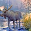Wildlife Lake Moose NEW Paint By Numbers