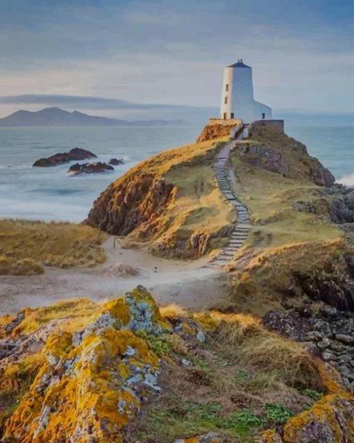 llanddwyn Island Anglesey paint by numbers