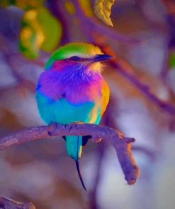 Colorful Bird paint by numbers