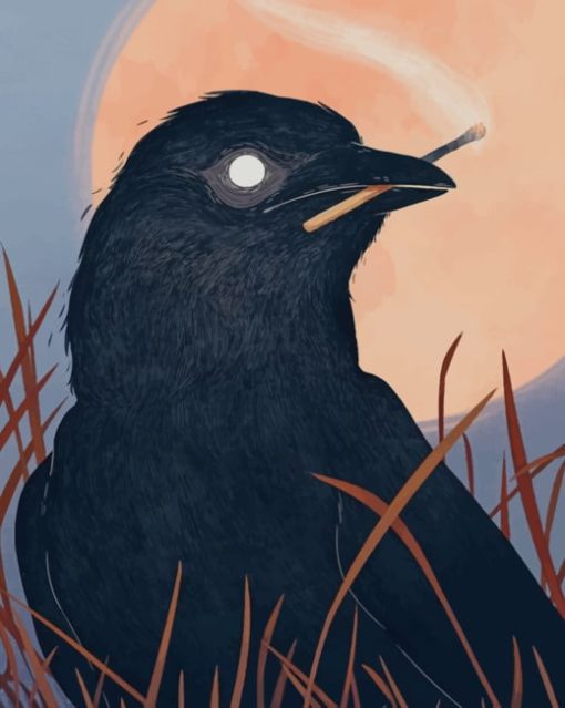 Common Raven Bird paint by numbers