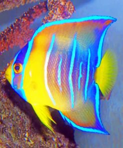 Queen Angelfish Paint by numbers