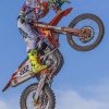 Tony Cairoli Motocross paint by numbers