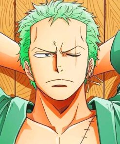 One Piece Zoro paint by numbers