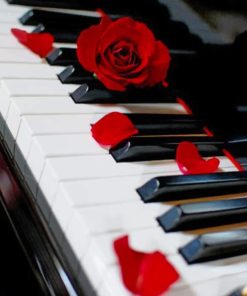 Piano And Red Rose paint by numbers