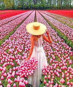 Woman In Field Of Pink Flowers paint by numbers