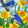 Bluebirds And Wild Daffodils Paint by numbers