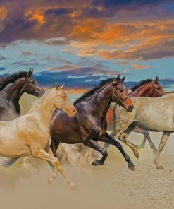 horses running in desert paint by numbers