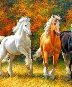 Running Horses Paint by numbers