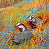 cute-badgers-paint-by-number