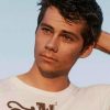 handsome-dylan-o-brien-paint-by-numbers