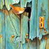 Bird On Door Paint by numbers