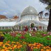 Botanic-Gardens-dublin-paint-by-numbers