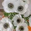 White Anemone Plants Paint by numbers