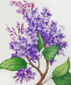 Tatiana Azarchik Lilac flowers paint by numbers