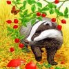 Wild Badger Animal Paint by numbers