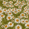 Daisy Field Illustration paint by numbers