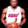 Dwyane Wade Basketball Paint by numbers