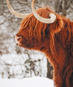 highland-cow-in-the-snow-paint-by-number