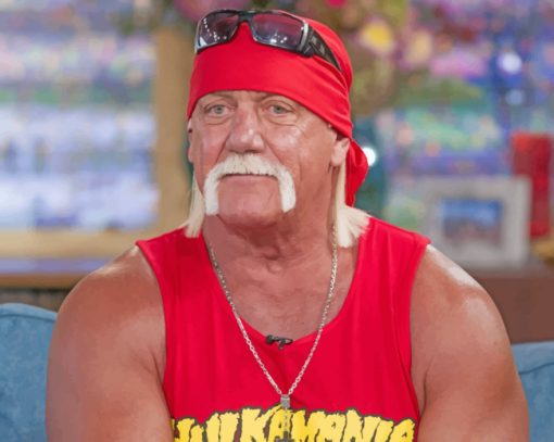 hulk-hogan-paint-by-number