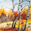 Birch Trees Forest paint by numbers