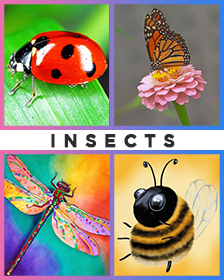 Insects