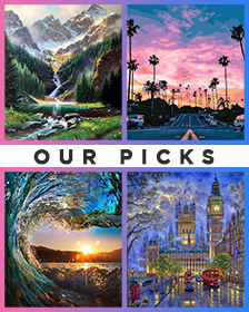 Our Picks