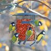 Cute Birds Feeder Paint By Number