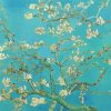 Almond Blossoms Paint By Number