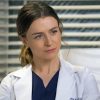 Amelia Shepherd Character Paint By Number