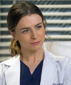 Amelia Shepherd Character Paint By Number