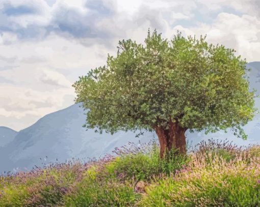 Ancient Olive Tree Paint By Number