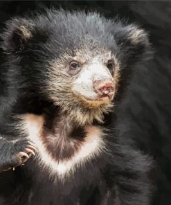 Baby Sloth Bear Paint By Number