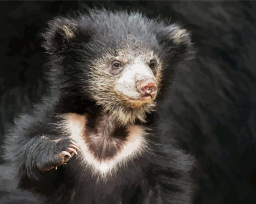 Baby Sloth Bear Paint By Number