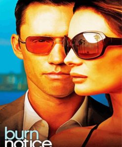 Burn Notice Poster Paint By Number