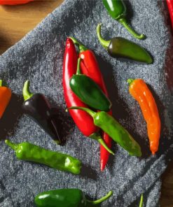 Colorful Hot Peppers Paint By Number