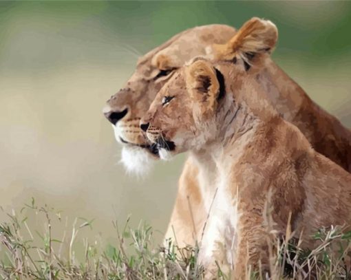 Lioness And Cub Paint By Number