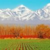 Mendoza Landscape Paint By Number