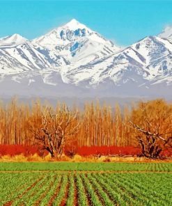 Mendoza Landscape Paint By Number