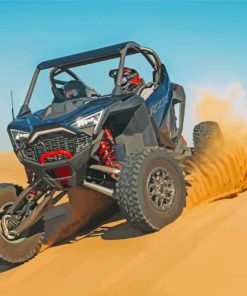 Polaris Rzr Pro Paint By Number