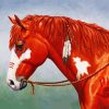 Native American Horse Paint By Number